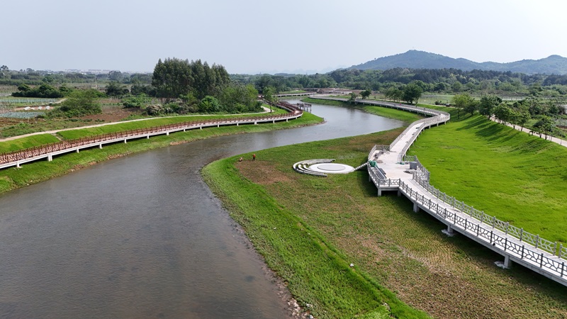 實干當“夏”丨廣西工程咨詢集團扎實開展漓江生態修復全咨項目評估驗收